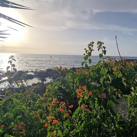 아파트호텔 Ocean View Apartment, Costa Adeje,tenerife 아데제